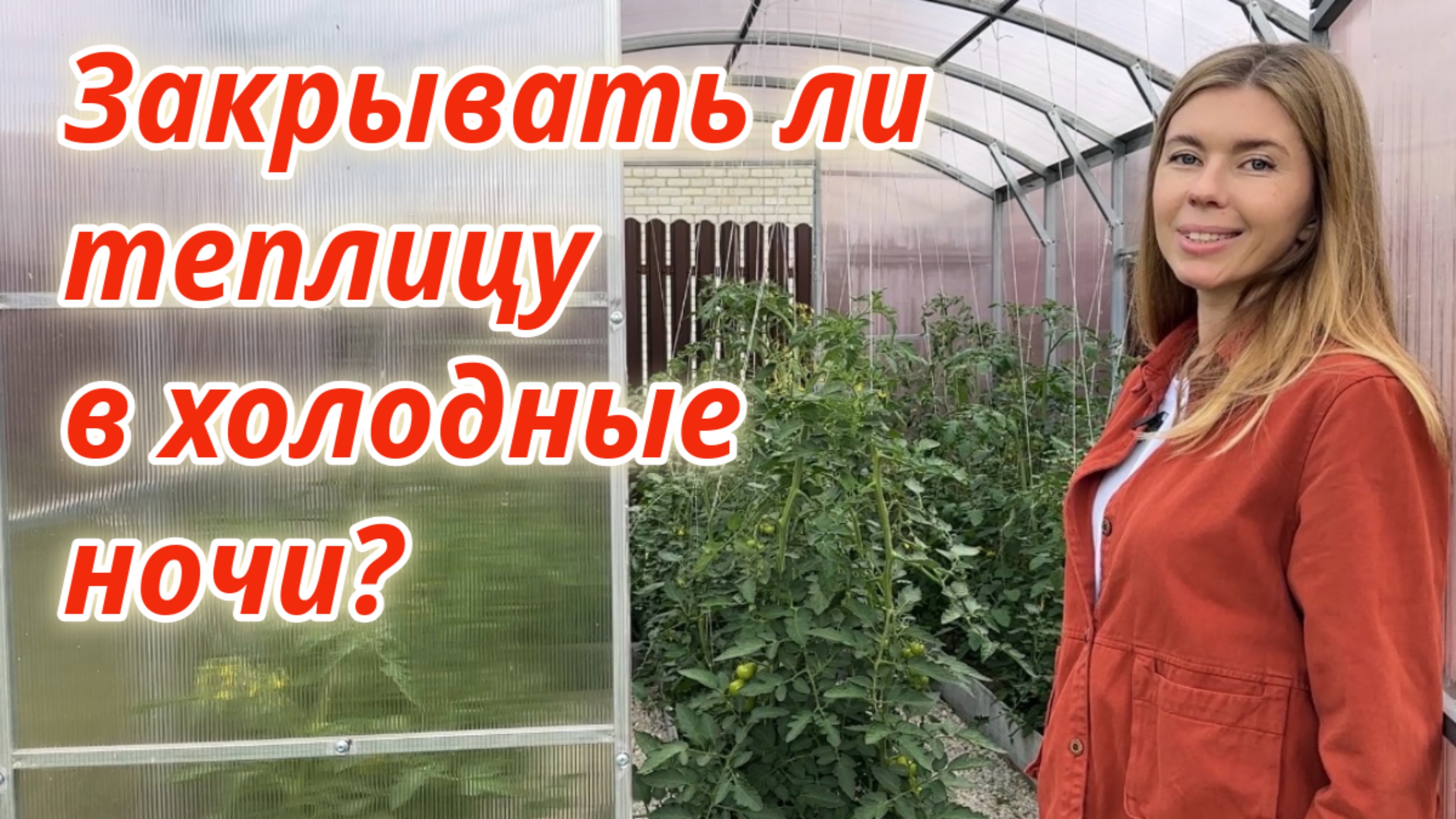 Томаты в теплице без болезней и вредителей. Правила ухода за растениями в теплице