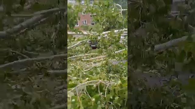 В Тулуне прошёл уранан
