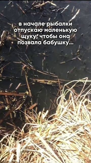 Верите в приметы?
