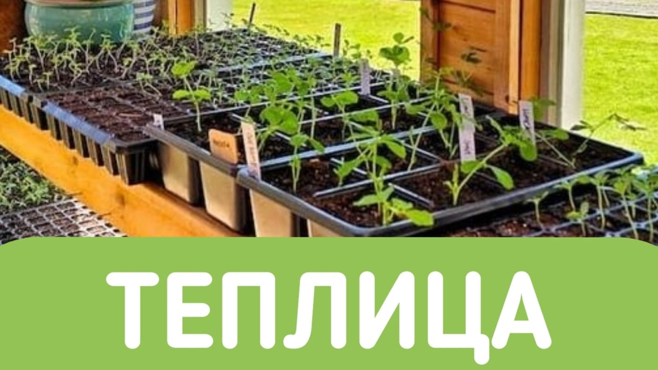 Спекторное освещение в теплице.