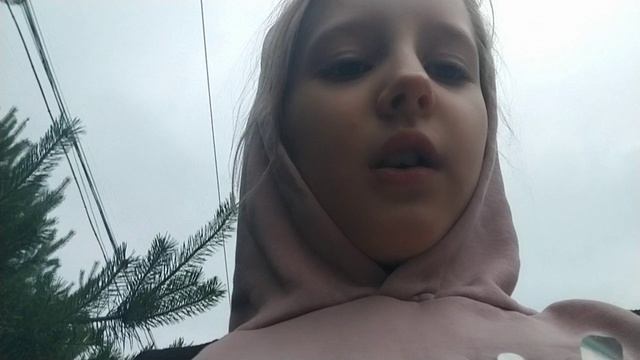 26.06.2025