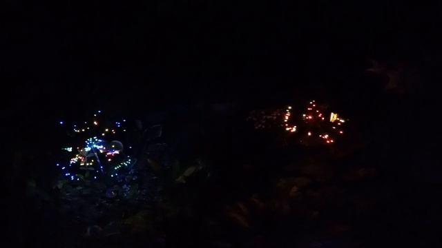 1000262127.mp4