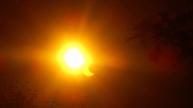 затмение снято фотоаппаратом 10 июня 2021г