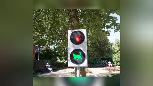 Зеленоградск- город кошек.