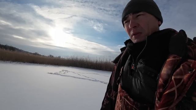 Гигантский окунь Петровича. Или как, мы ездили ловить КАРАСЯ.