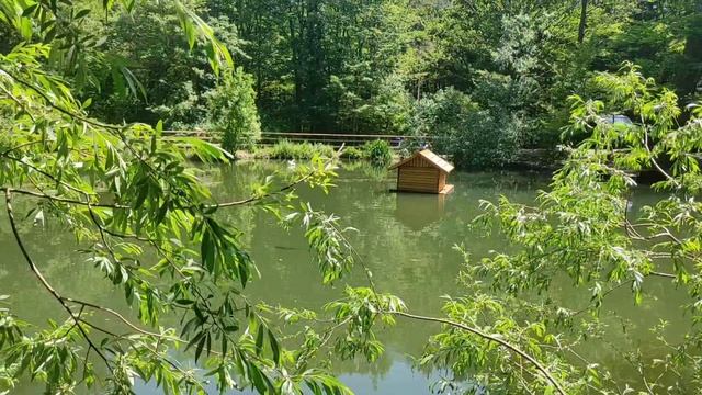 Черепашье озеро по дороге на Ай-Петри - чудный уголок природы