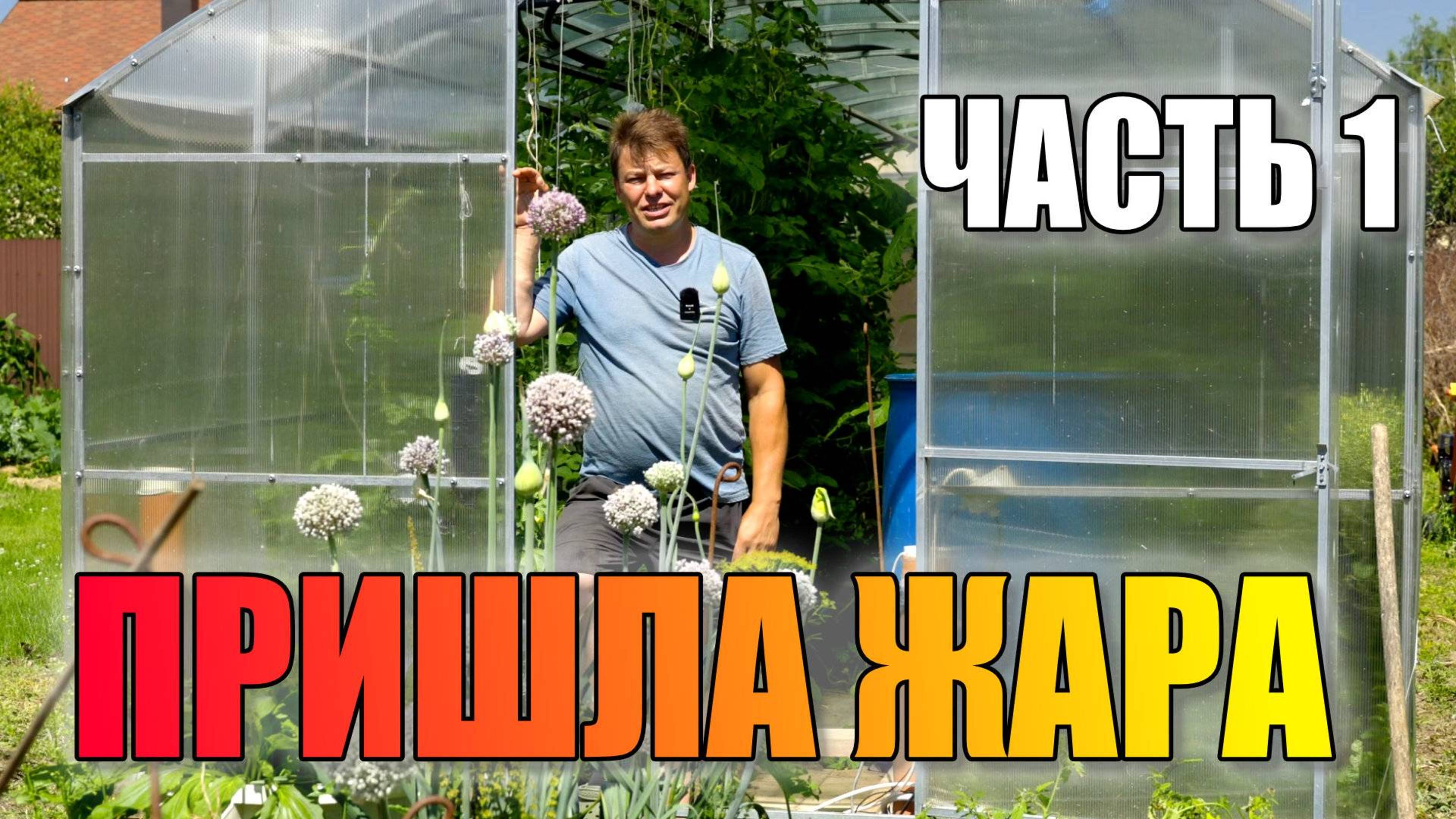 🌞 СПАСЕНИЕ САДА И ОГОРОДА В ЖАРУ 2025: Экстренные меры и долгосрочная защита