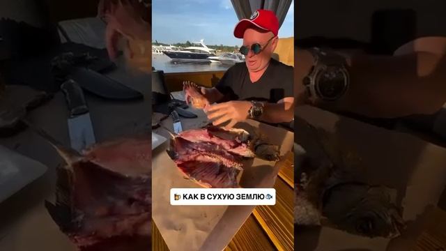 Как в сухую землю