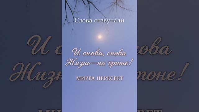 Слова отзвучали. Стихи Мирры Пересвет.