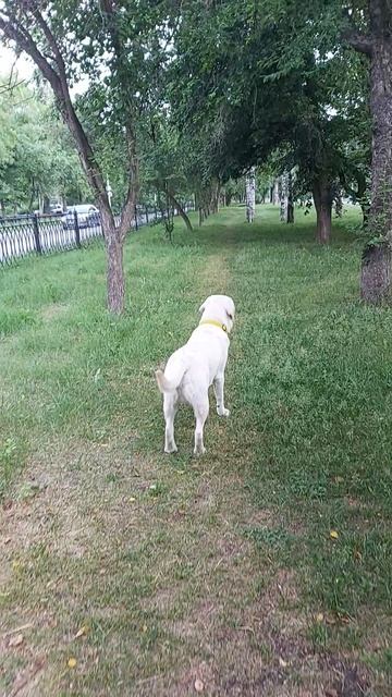 Причудился страшный силуэт