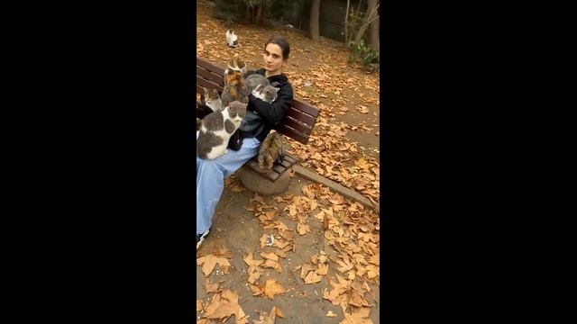 Смешные котики - часть 34