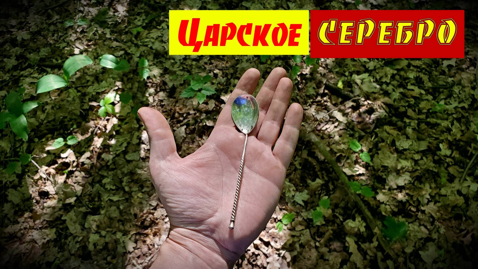 🔥Царское СЕРЕБРО возле денежного дерева.
