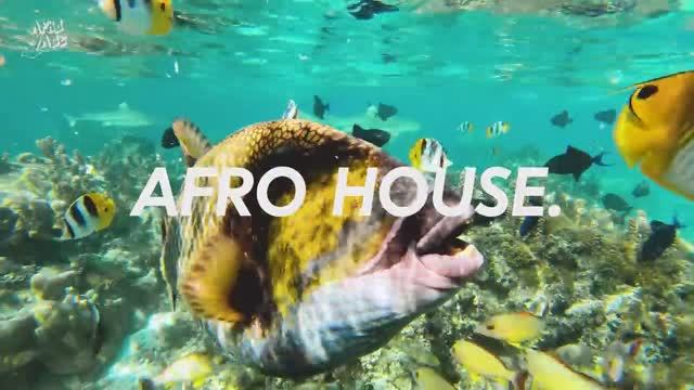 4K Bora Bora SUMMER AFRO HOUSE Mix (Adam Port, Avicii, The Weeknd, Coldplay, Diplo) - Summer Vibes