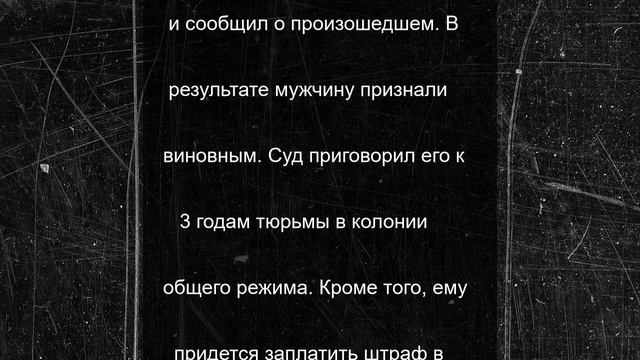 Мигрант сделал «неправильный ход» с взяткой в Мурманской области