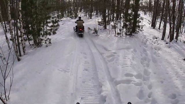 СНЕГОХОДЫ ДИНГО! СУСАНИН СТАЙЛ!