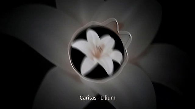 Caritas - Lilium (Official video) #music #caritas #garage #ukgarage #housemusic #lilium
