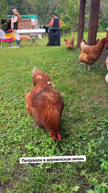 Как нас встретили в Башкортостане