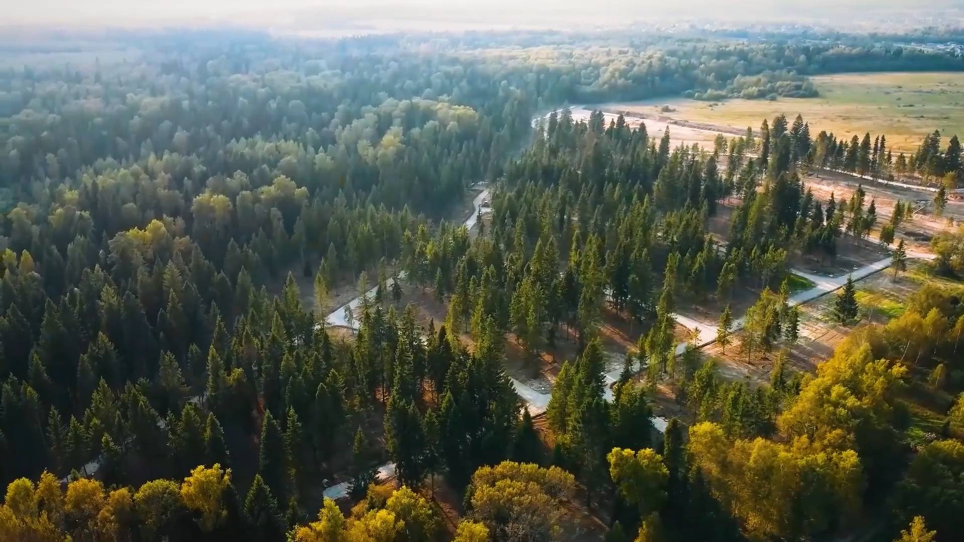 Красота «Ели Estate» - тизер поселка