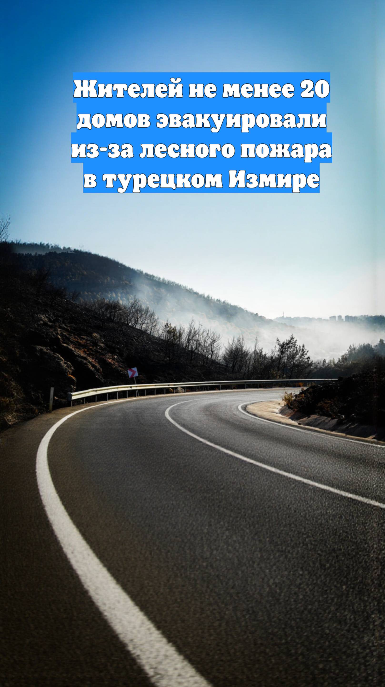 Жителей не менее 20 домов эвакуировали из-за лесного пожара в турецком Измире