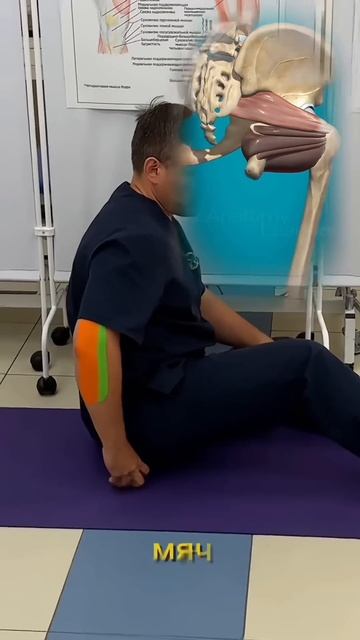 Болит таз поясница Простреливает в ногу