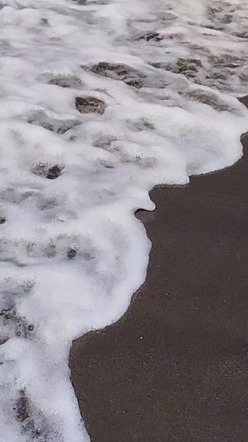 Пропеллер на море отображает сила ветра)