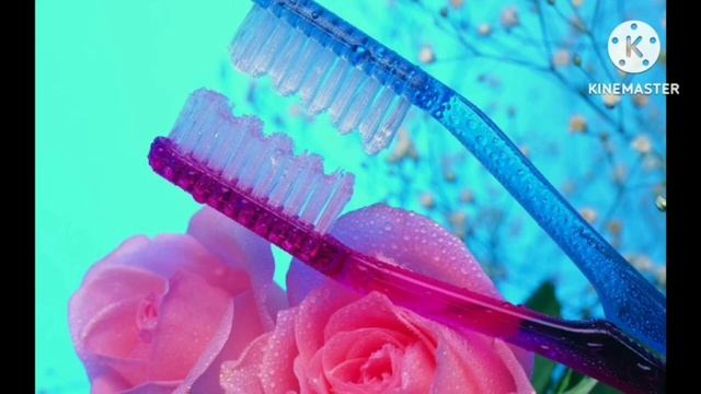 День рождения зубной щëтки