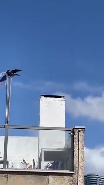 1000001377.mp4 Алексей Максименко  ОПЯТЬ СКАЖУТ, ЧТО ВОРОНА ЗАСЛАНА ИЗ РОССИИ!