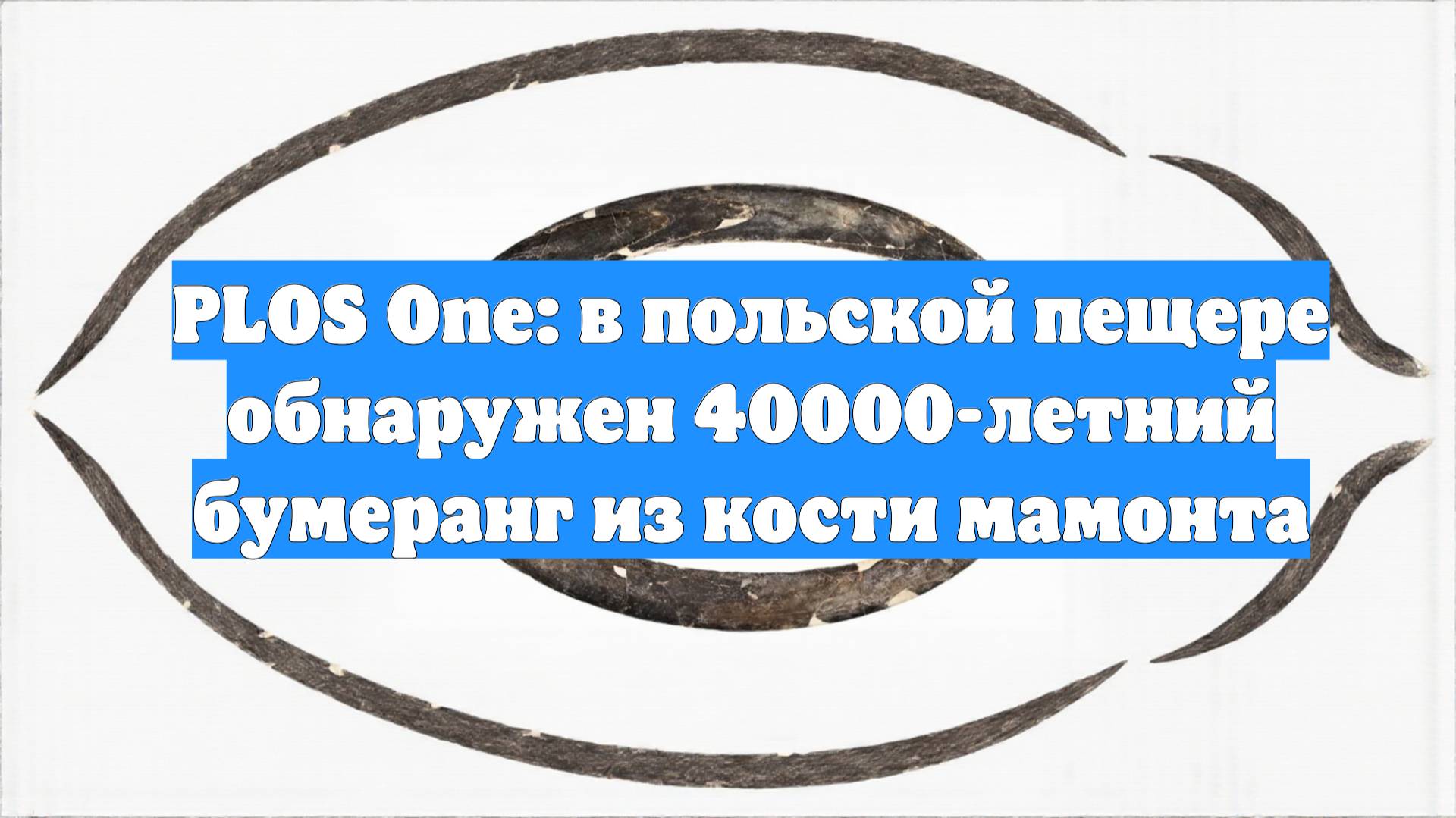 PLOS One: в польской пещере обнаружен 40000-летний бумеранг из кости мамонта
