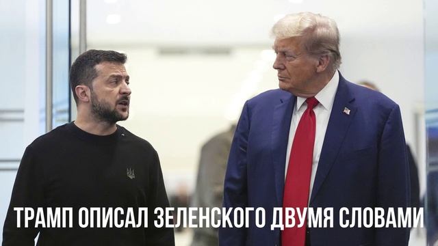 Трамп описал Зеленского двумя словами
