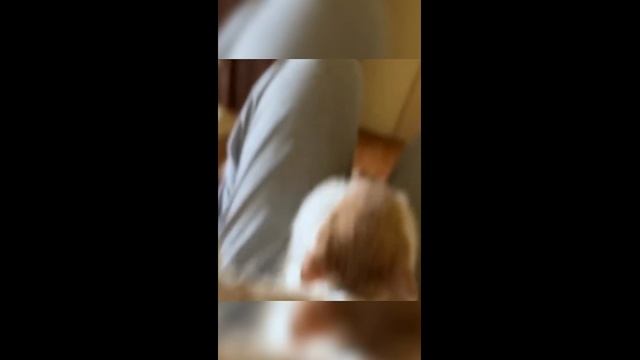 Смешные котики - часть 35