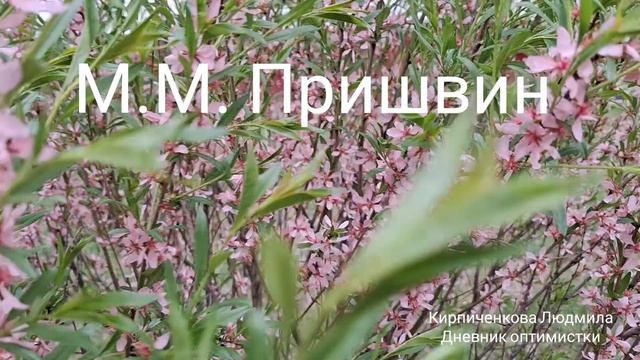 ,,Звери" М.М. Пришвин  ,,Беличья память"