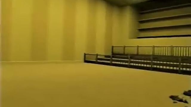 Backrooms - Informational Video