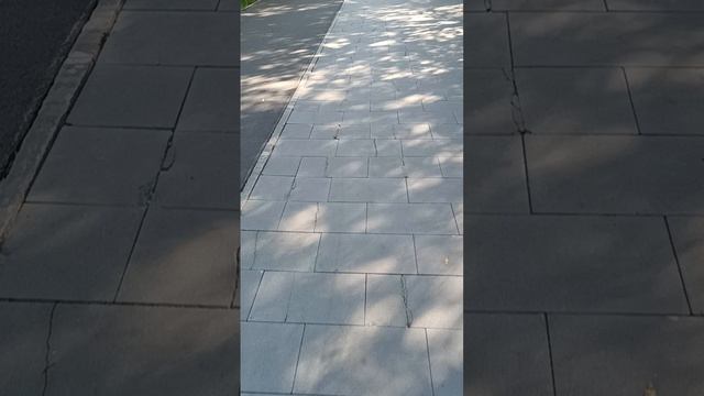 Почти о дорожном строительстве в Новосибирске