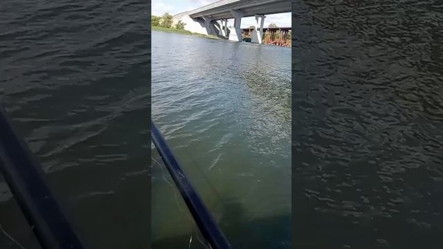 Я пошёл в первый раз со своими друзьями на рыбалку