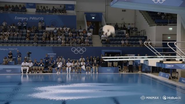 Собачая Олимпиада по плаванию #dog #funny