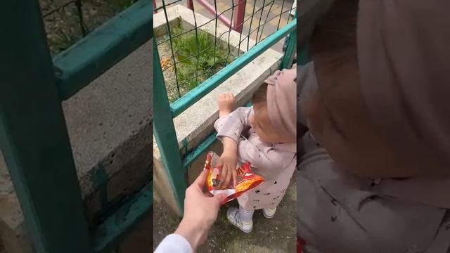 VID-20250514-WA0000