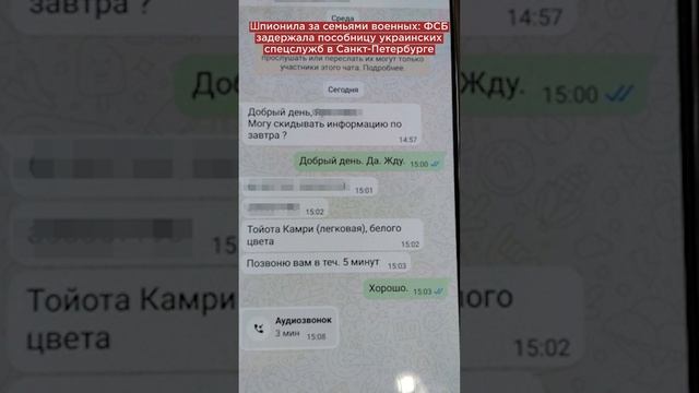 Шпионила за семьями военных: ФСБ задержала пособницу украинских спецслужб в Санкт-Петербурге