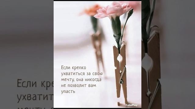 VID-20250626-WA0287