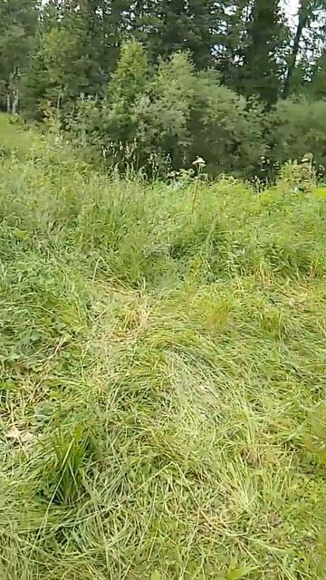 приехали на место  .  палатачку поставили.