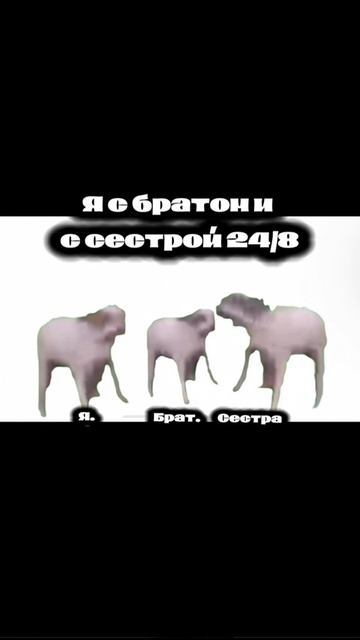 я незнаю что писать