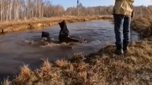 Клев пошел, а ты не рад