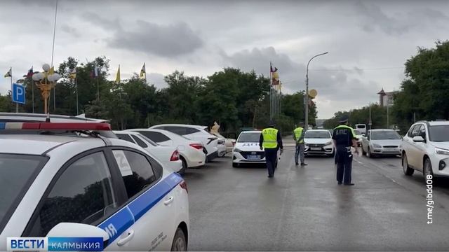 Дорожные полицейские проводят профилактическое мероприятие «Пристегни ребенка»