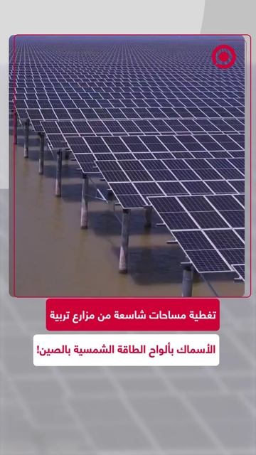 ألواح الطاقة الشمسية في الصين تغطي مياه مزارع الأسماك
