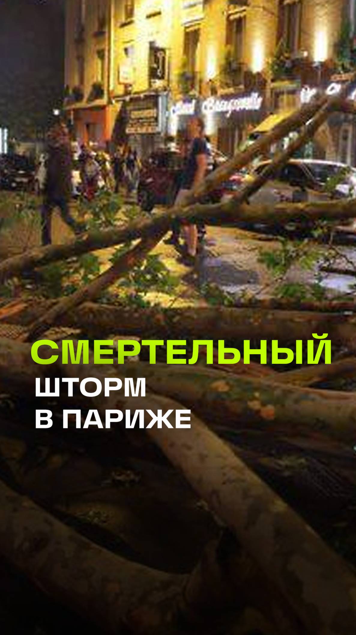 Франция под ударом стихии: шторм унес жизни, Париж в хаосе