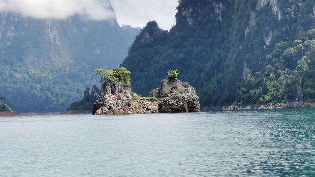 Осознанность