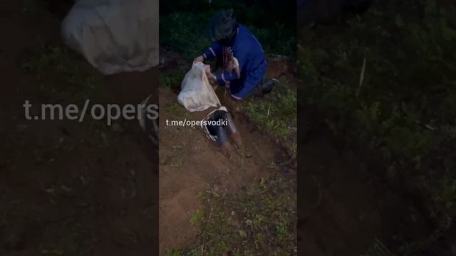 В Ленинградской области правоохранители прервали шаманский обряд и выкопали из земли двух человек.