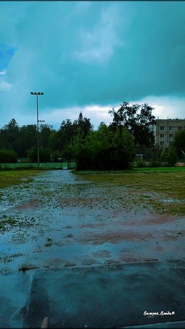 один момент лета 🎬