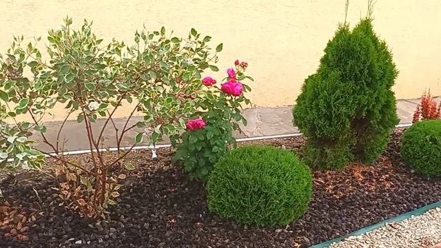 26.06.2025г.ХРОНИКА ДНЯ// ОБЫЧНАЯ СЕЛЬСКАЯ ЖИЗНЬ🏡🐓