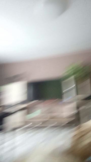 1000064136.mp4