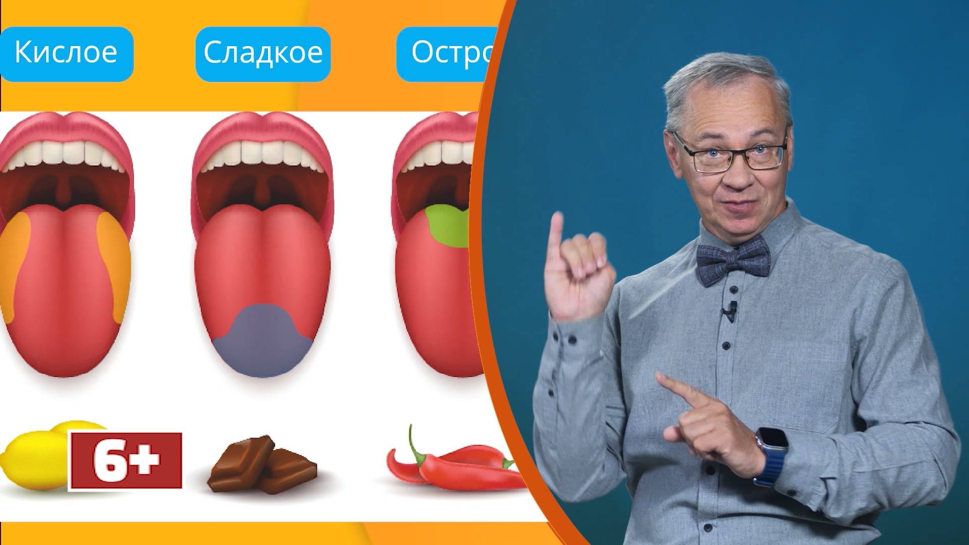 Всё обо всём. Пятый вкус. Выпуск от 26.06.25